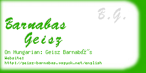 barnabas geisz business card